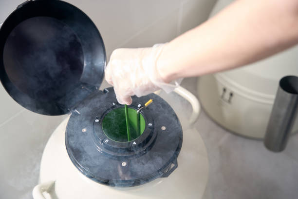 液氮罐 液氮罐